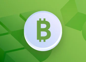 Bitcoin Cash BCH: Currency Profile and Origins