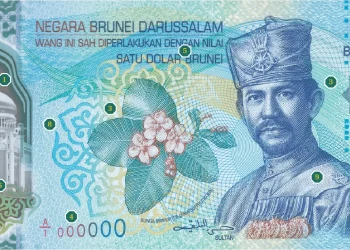 Bruneian Dollar BND: Currency Profile and Parity