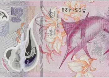 Bermudian Dollar BMD: Currency Profile and Peg