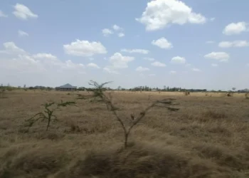 Cedarville Estate Juja Investment Review