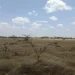 Cedarville Estate Juja Investment Review