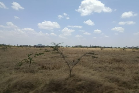 Cedarville Estate Juja Investment Review