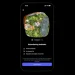 Instagram Launches Instants for Ephemeral Photo Sharing