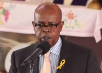 Jimmy Kibaki Wealth and Businesses