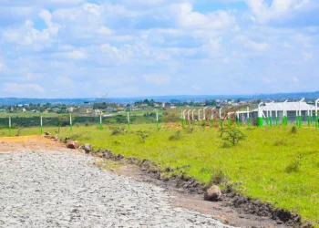 Nexus Estate Rongai Land Investment Review