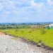 Nexus Estate Rongai Land Investment Review