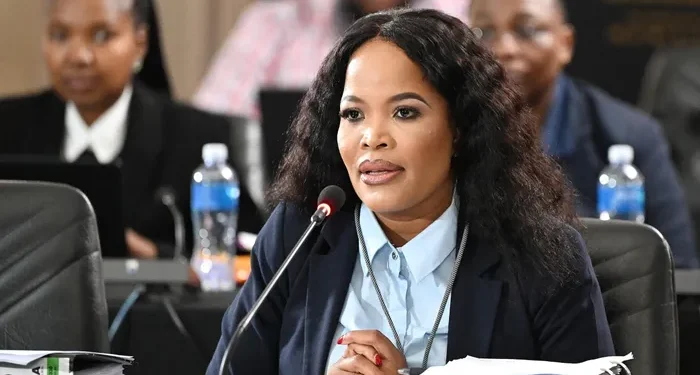 Puleng Dimpane Biography: SAPS Leader, Career and Reform Agenda