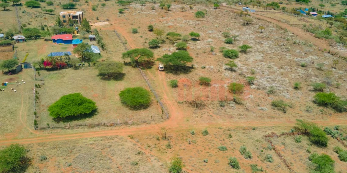 The Vineyard Ngong Phase 2 Investment Review