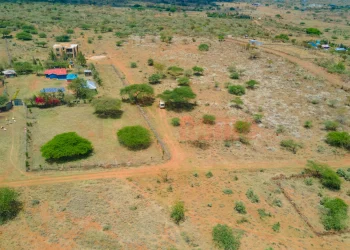 The Vineyard Ngong Phase 2 Investment Review