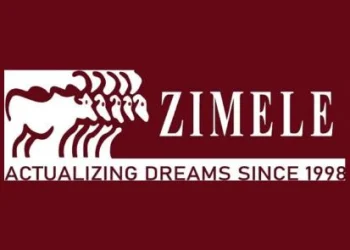 Zimele Fixed Income Fund Review