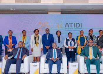 ATIDI Funding and African Risk Finance