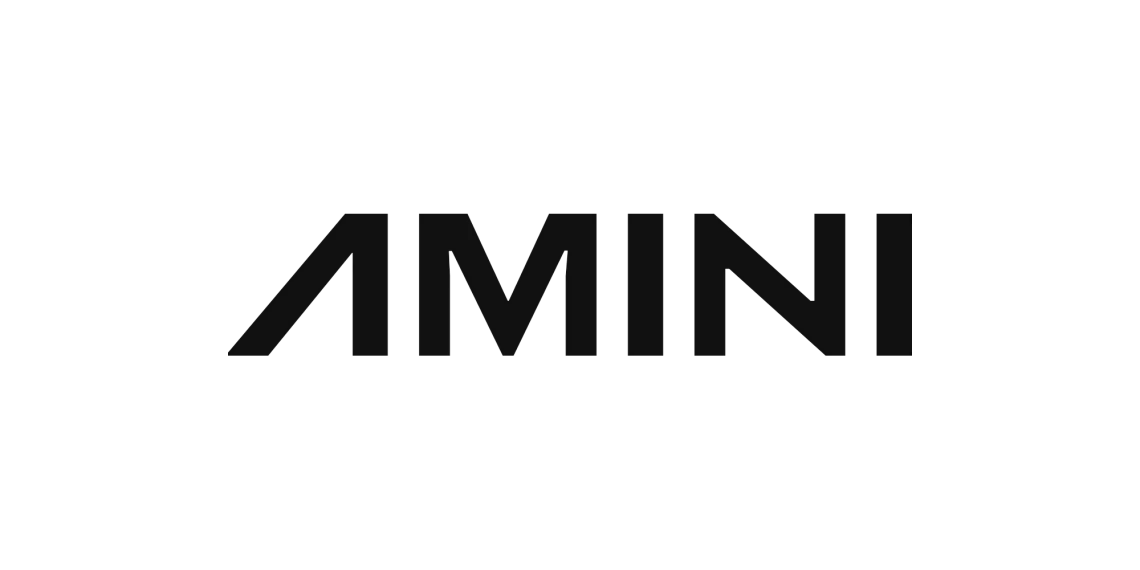 Amini Funding and Growth Strategy