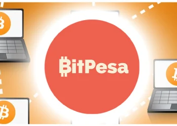 BitPesa Funding and Payments Growth