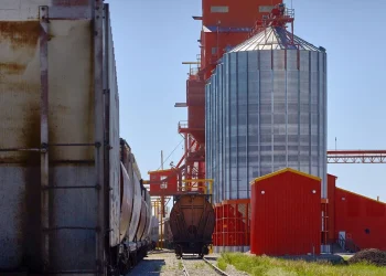 Agricultural Consultants in the United States