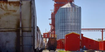 Agricultural Consultants in the United States