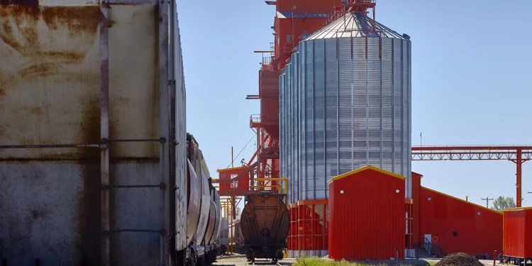 Agricultural Consultants in the United States
