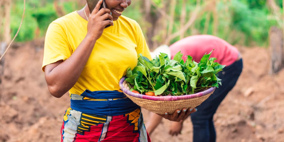 Farm to Feed Funding and Food Loss Strategy