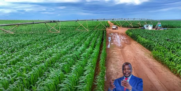 Kenya AgriConnect Compact Targets 2.4M Jobs