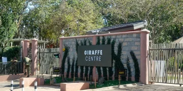 Giraffe Centre