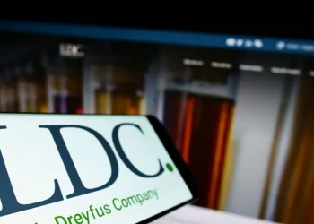LDC Acquisitions: Private Equity M&A Strategy