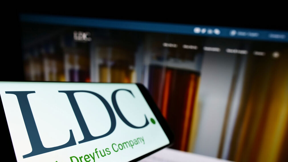 LDC Acquisitions: Private Equity M&A Strategy