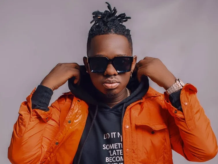 Lava Lava Biography: The Rise of a WCB Wasafi Star
