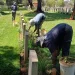 Memorials of War in Kenya: Complete Guide