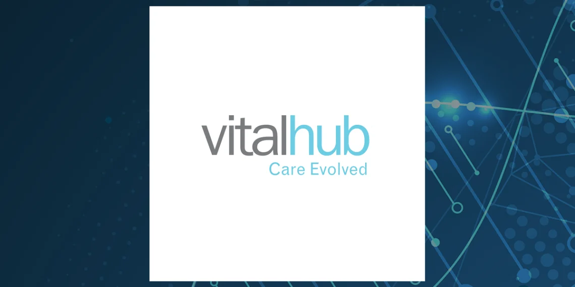 VitalHub Acquisitions: Healthcare M&A Strategy