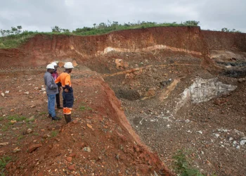 Zimbabwe Lithium Mining Comes Under Pressure