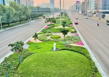 The Best Irrigation Companies in the UAE
