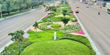 The Best Irrigation Companies in the UAE