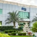 The Best Dairy Farms in the UAE