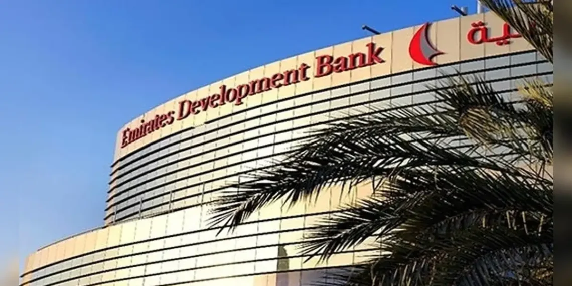 The Best Microfinance Institutions in the UAE