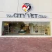The Best Veterinary Clinics in the UAE